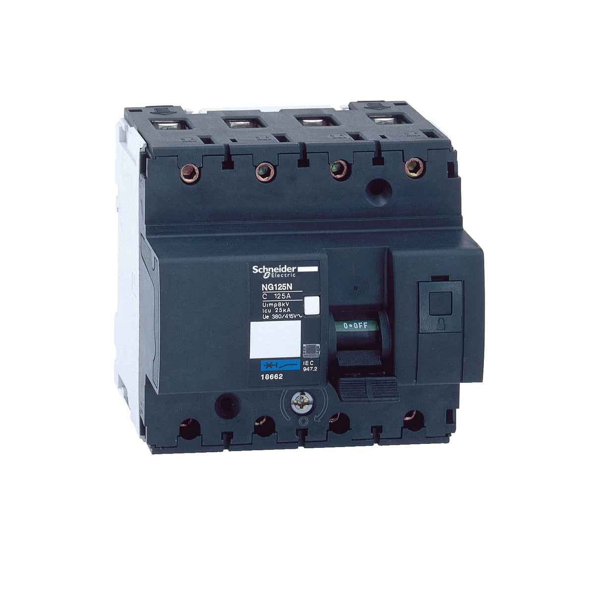 Schneider Electric 18660 Miniature Circuit Breakers MCB | NG125