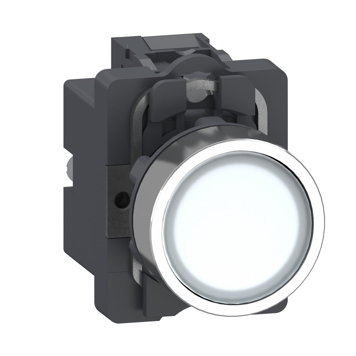 Schneider Electric XA2AW31M1 Push Buttons, Selector Switches & Pilot Lights | Harmony XA2