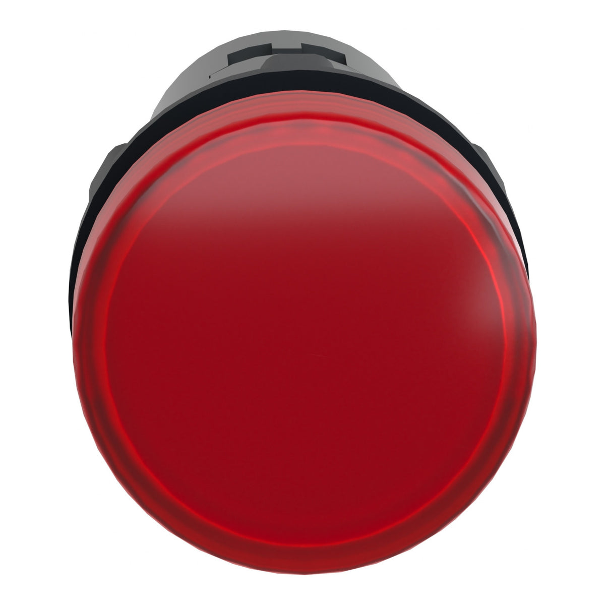 Schneider Electric XA2EVQ4LC Push Buttons, Selector Switches & Pilot Lights | Easy Harmony XA2