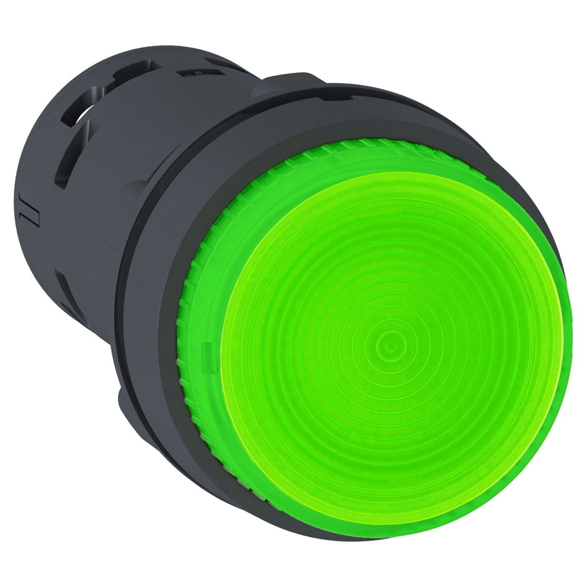 Schneider Electric XB7NW3361 Push Buttons, Selector Switches & Pilot Lights | Industrial Automation and Control